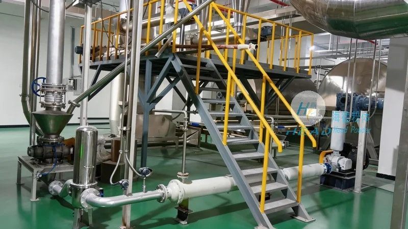 Pneumatic Conveying Solution for Lactose Powder